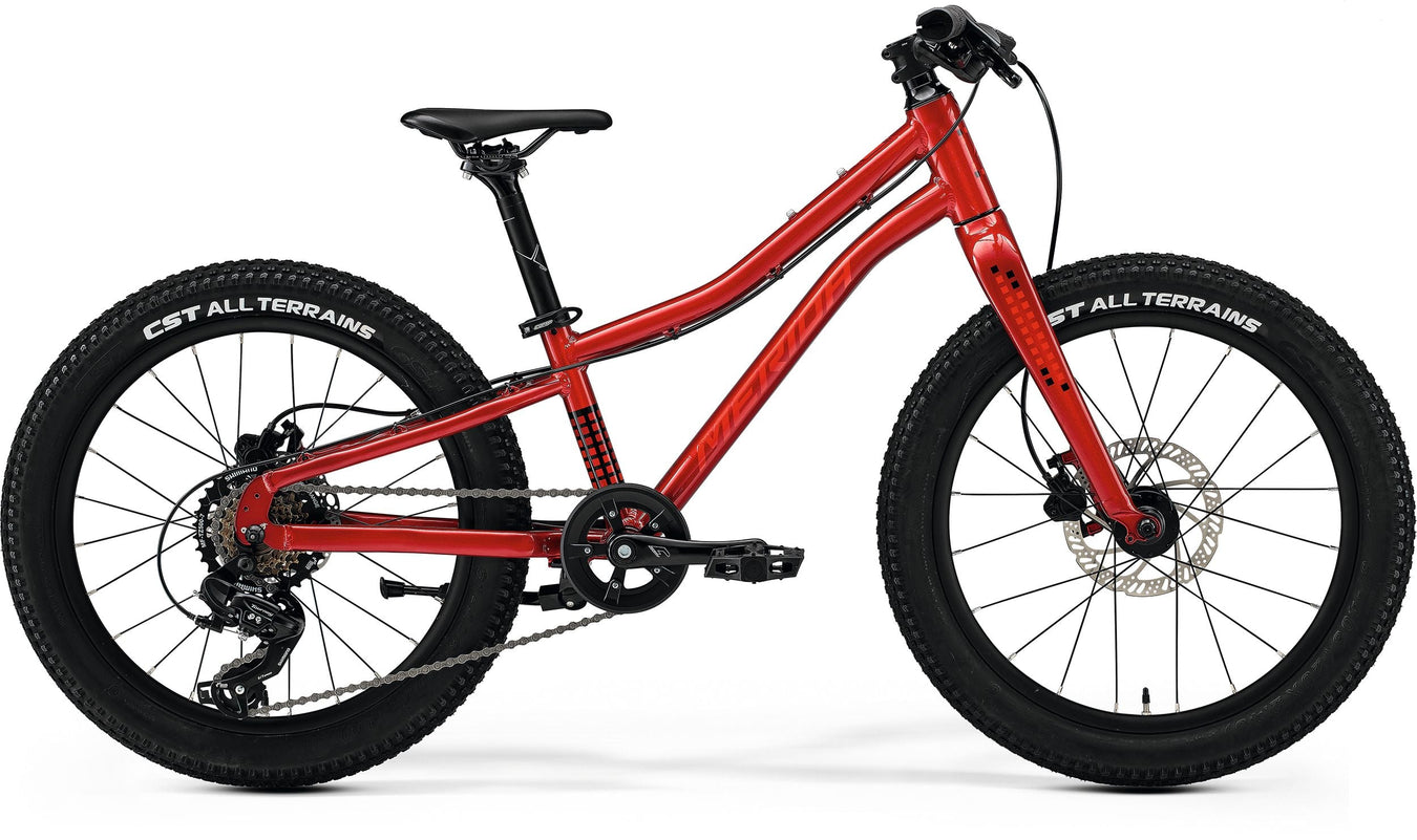 E-Bikes für Kinder & Jugendliche