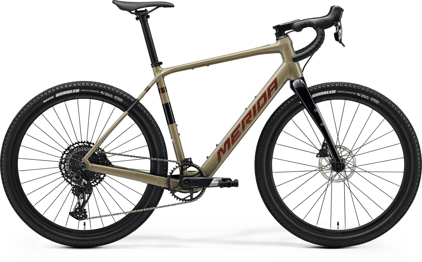 E-Gravel Bikes – Freiheit neu erleben mit elektrischer Unterstützung