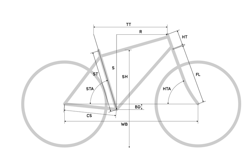 MERIDA NINETY-SIX XT RC