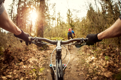 YUHUBIKES_forest_adventures